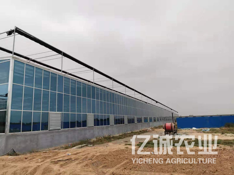 溫室大棚建設廠家